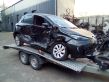 Zoe Zoe  240151129R
