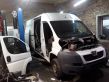 Boxer Boxer  FL615002