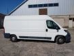 Boxer Boxer  21570R15C