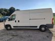 Boxer Boxer  21570R15C