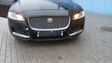 XF X260 XF
