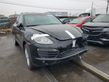 Cayenne (92A) Cayenne  LUT0294G