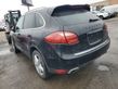 Cayenne (92A) Cayenne  LUT0294G
