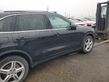 Cayenne (92A) Cayenne  LUT0294G