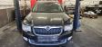 Superb B6 (3T) Superb  3T9955707