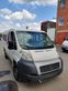 Ducato Ducato  21570R15C