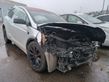 Model X Tesla Model X  100263301R