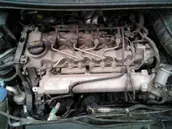 Engine cover (trim)