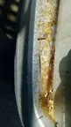 Serbatoio/vaschetta del liquido del servosterzo