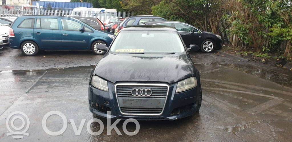Audi A3 S3 A3 Sportback 8P