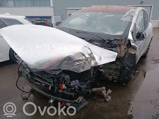 Model X Tesla Model X  100263301R