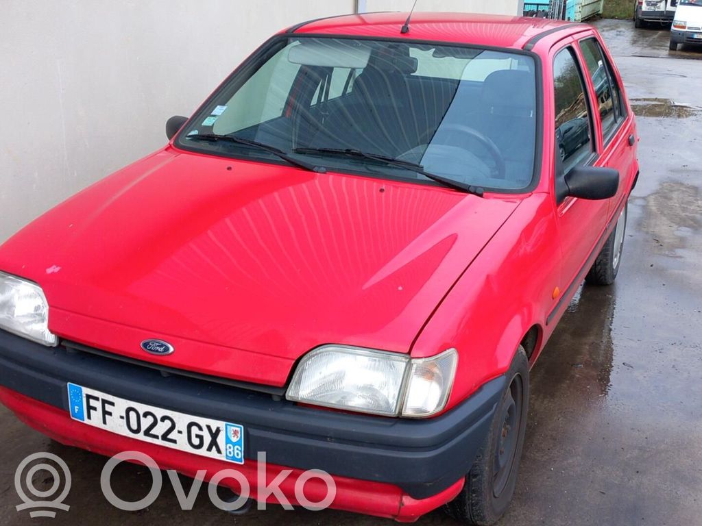 Fiesta Fiesta  6895150