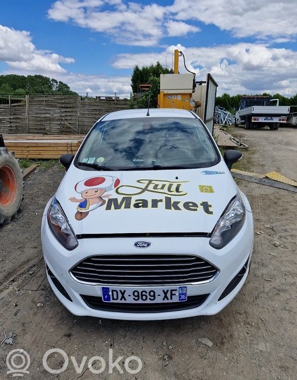 Fiesta Fiesta  2019032