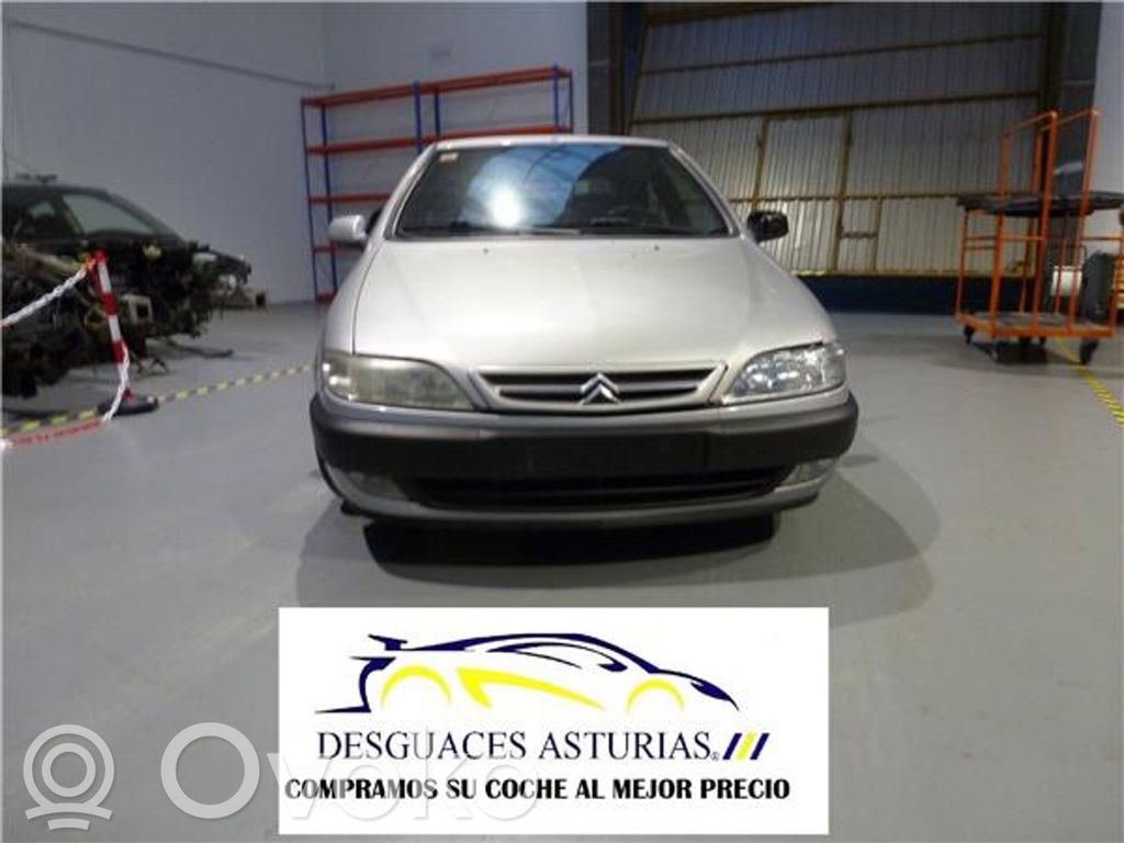 Xsara Xsara, Xsara Picasso