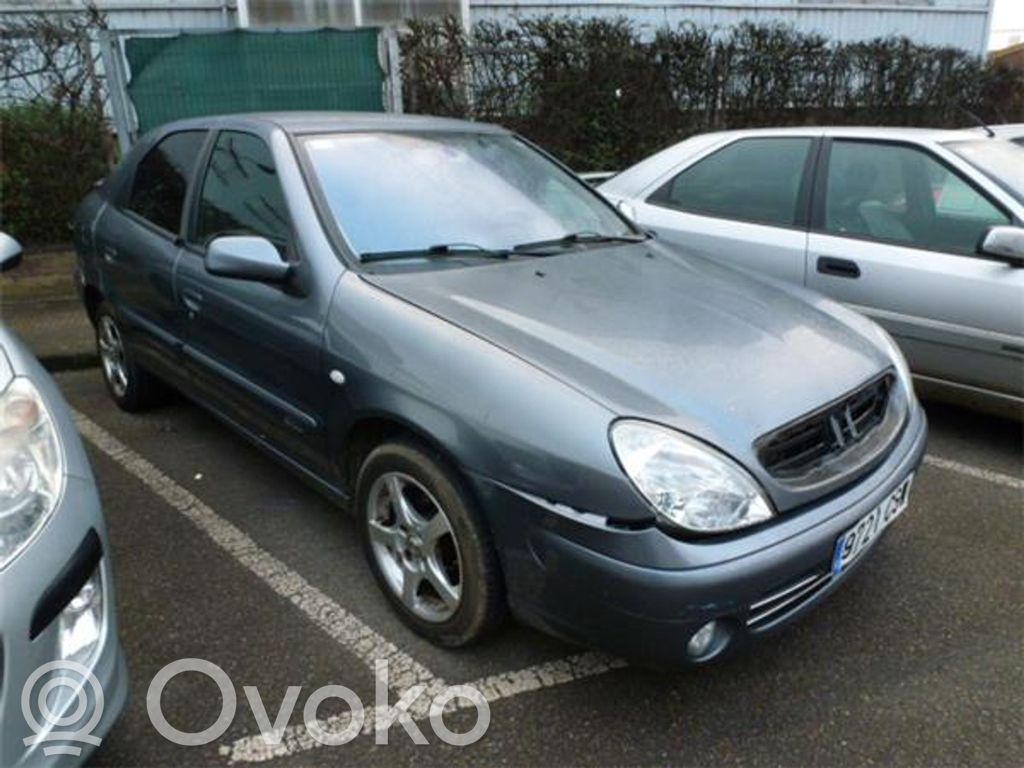 Xsara Xsara, Xsara Picasso