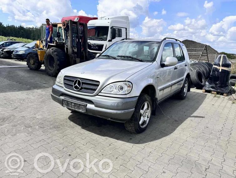ML W163 ML-class, AMG (W163, W164, W166)