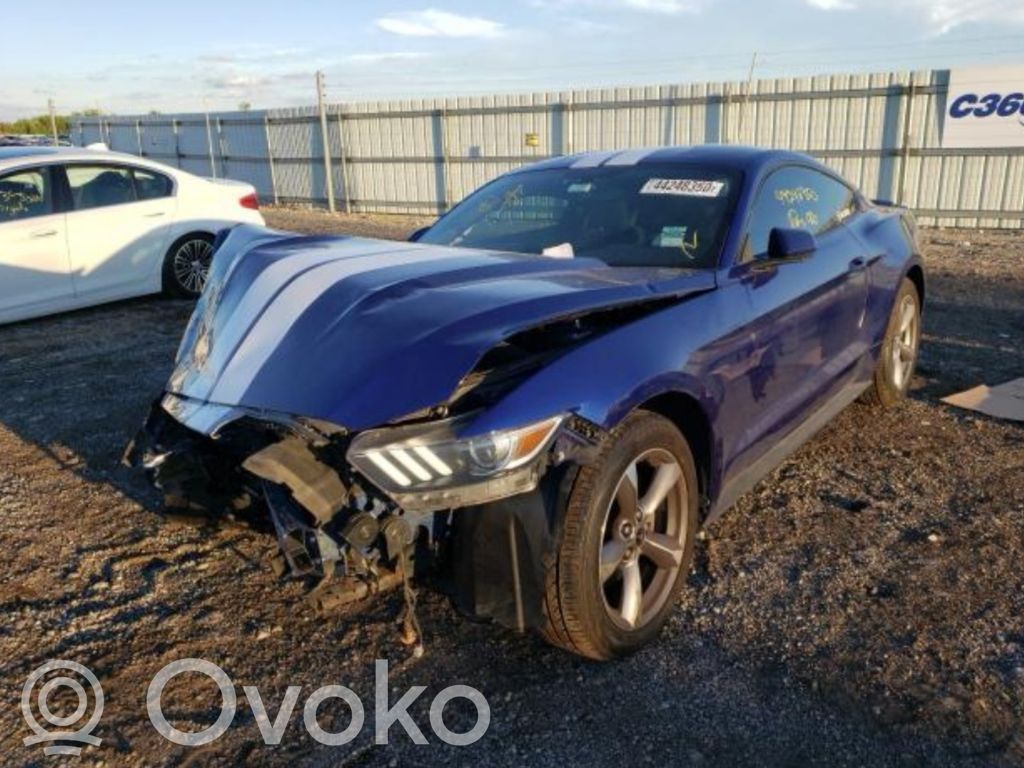 Mustang VI Mustang  CK4T11000CA