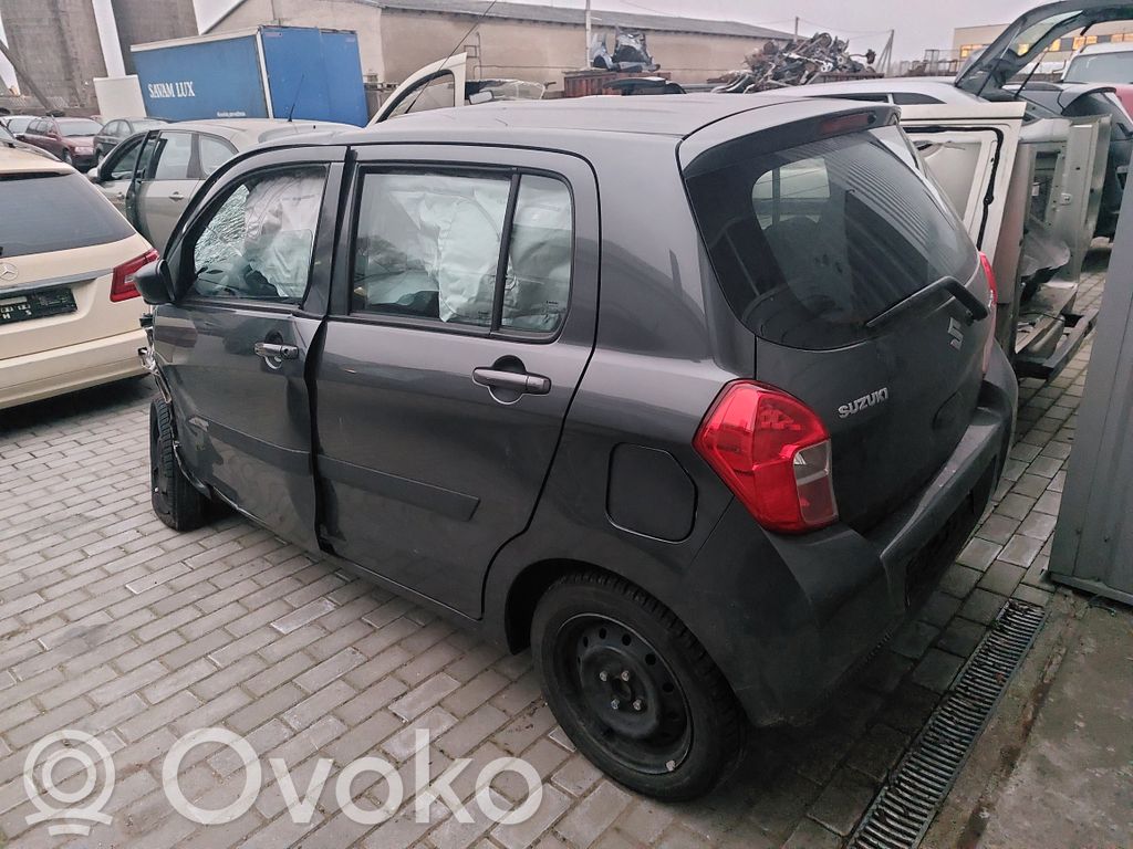 Celerio Celerio  3110084M00