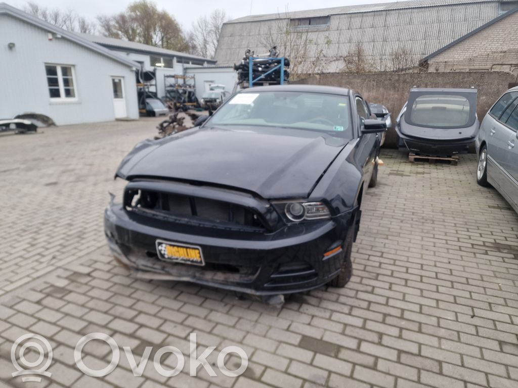 Mustang V Mustang