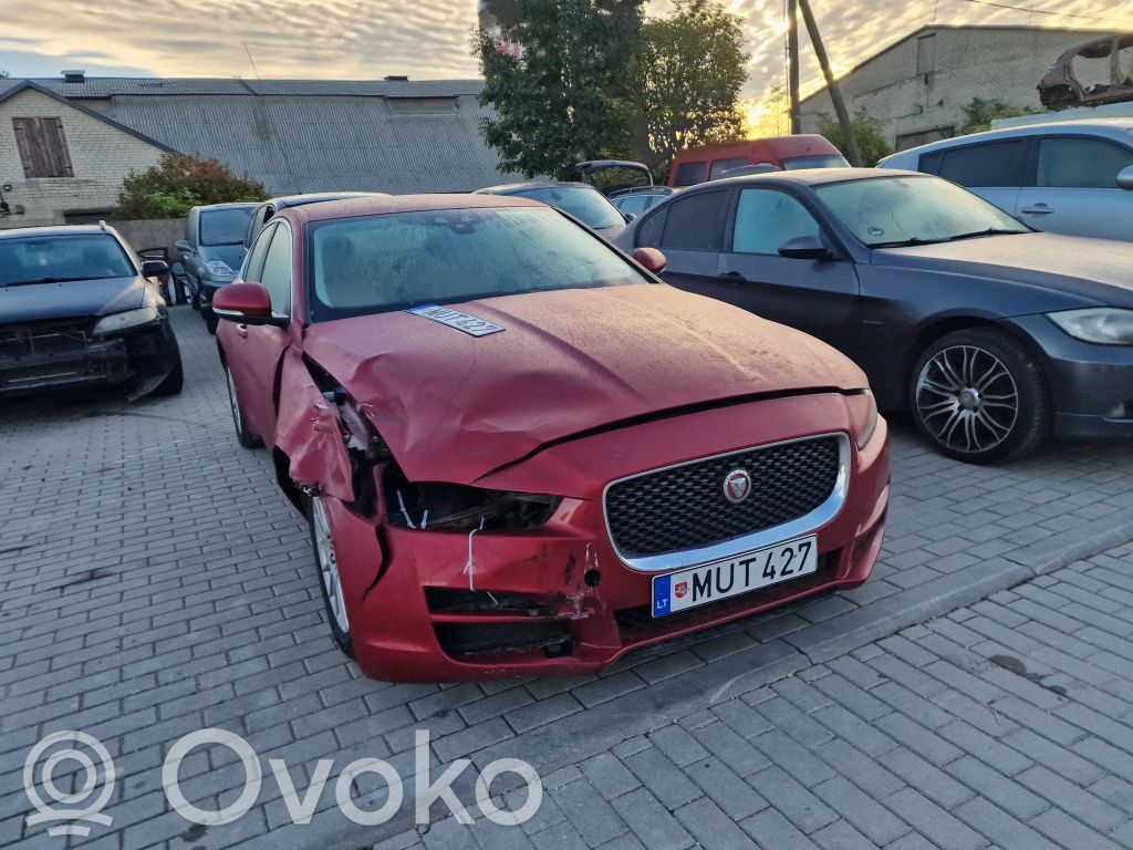 XE XE  GX7314B790AK