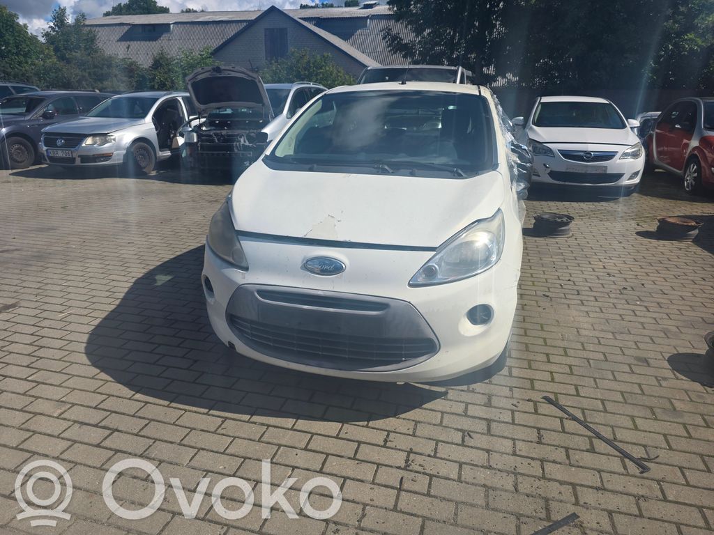 Ka Ka  51873926
