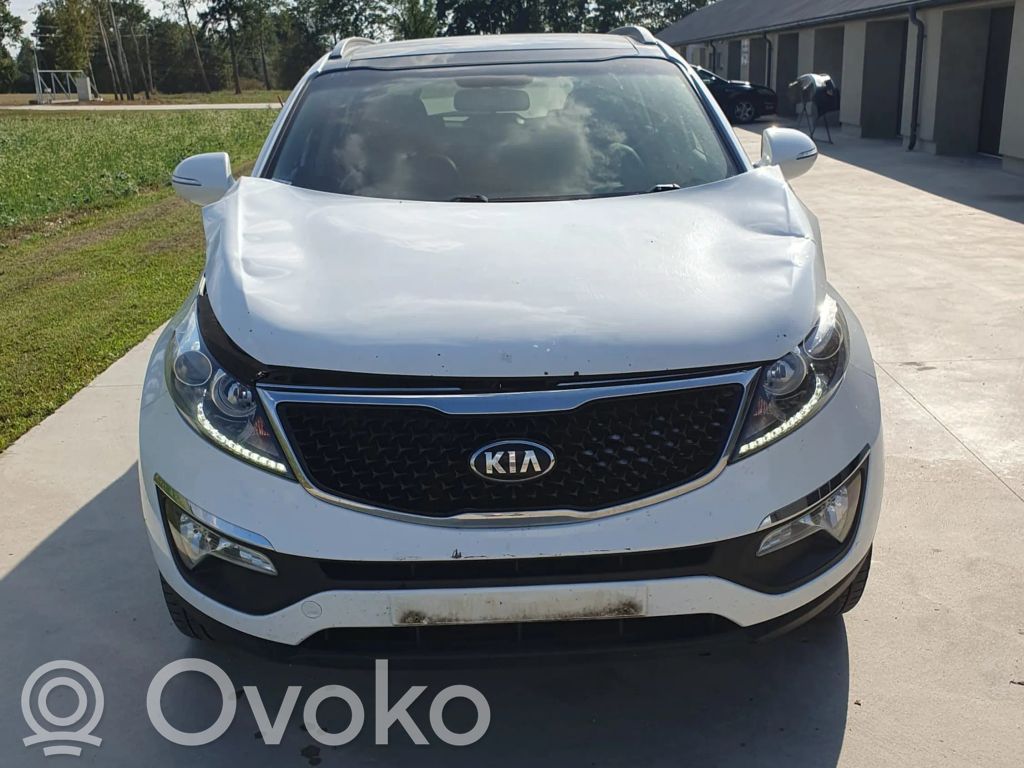 Sportage Sportage  391202A052