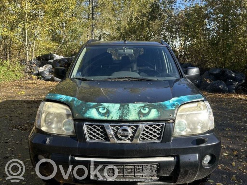 X-Trail T30 X-Trail  41650EQ070