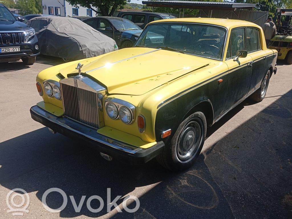 Silver Shadow Silver Shadow  UG13281