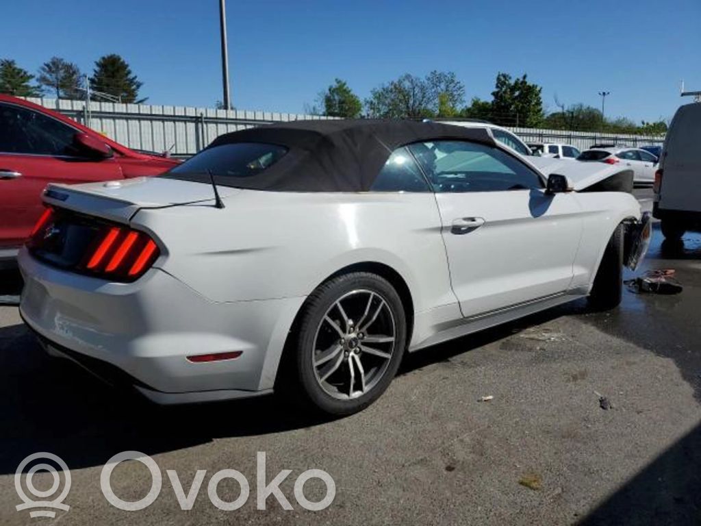 Mustang VI Mustang  FR3C2010FF