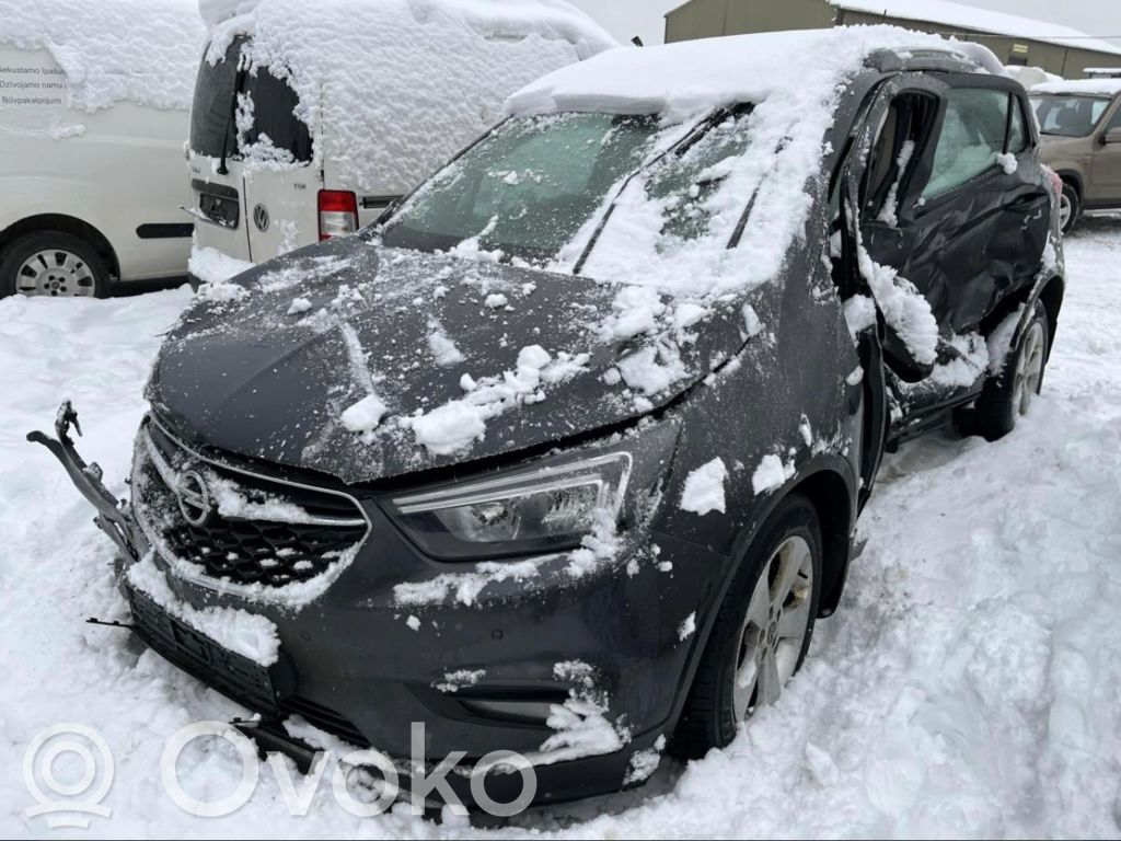 Mokka X Mokka  55501572