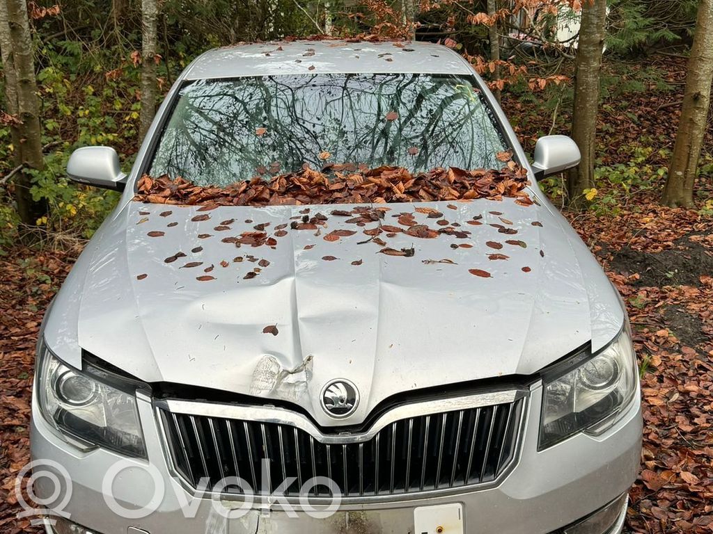 Superb B6 (3T) Superb  3AA122109B