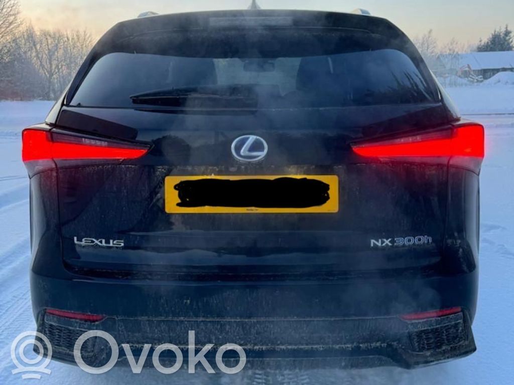 NX NX  33608
