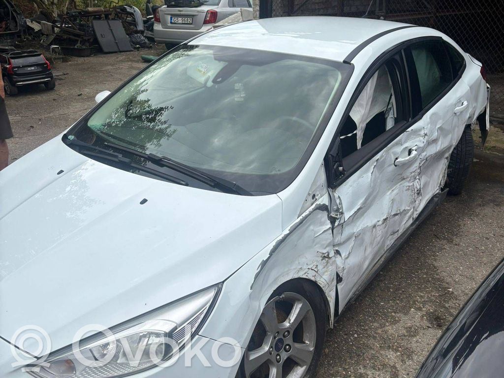 Focus Focus  BV617B633GF