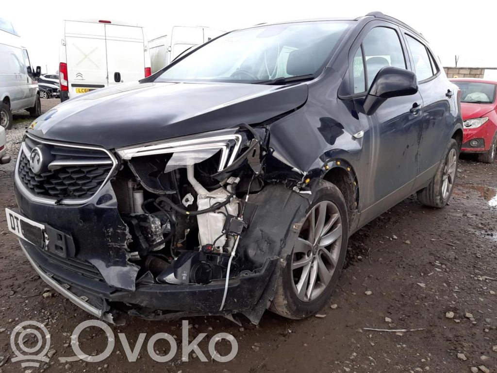 Mokka X Mokka  P13506237