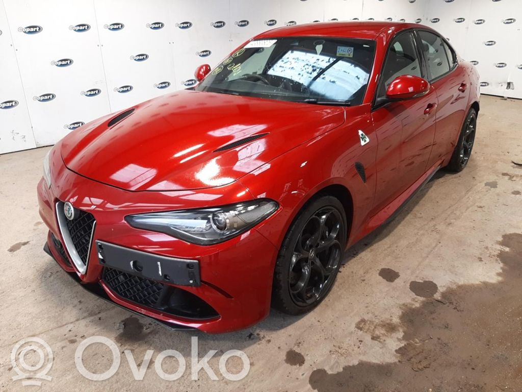 Giulia Giulia  50537696