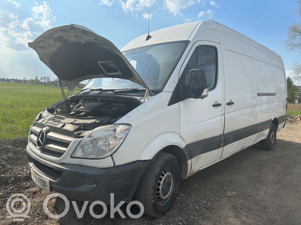 Sprinter W906 Sprinter  G4100