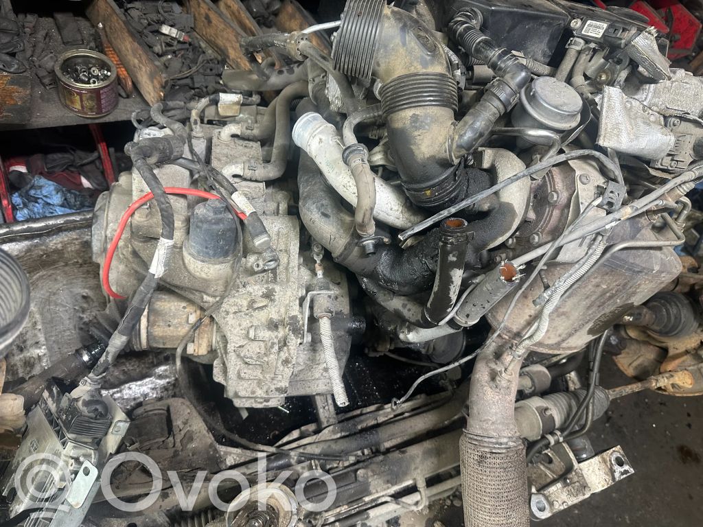 Caddy Caddy  A0016874