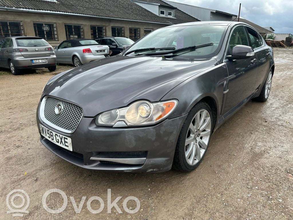 XF X250 XF  8W8313335AA