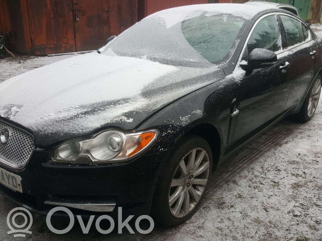 XF XF  0281004125