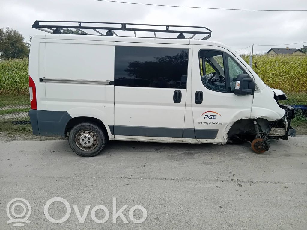 Boxer Boxer  EWP249