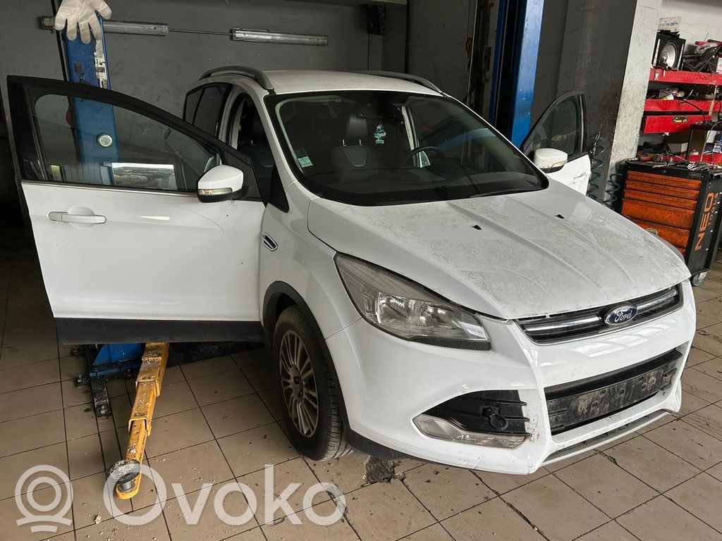 Kuga II Kuga  1683822
