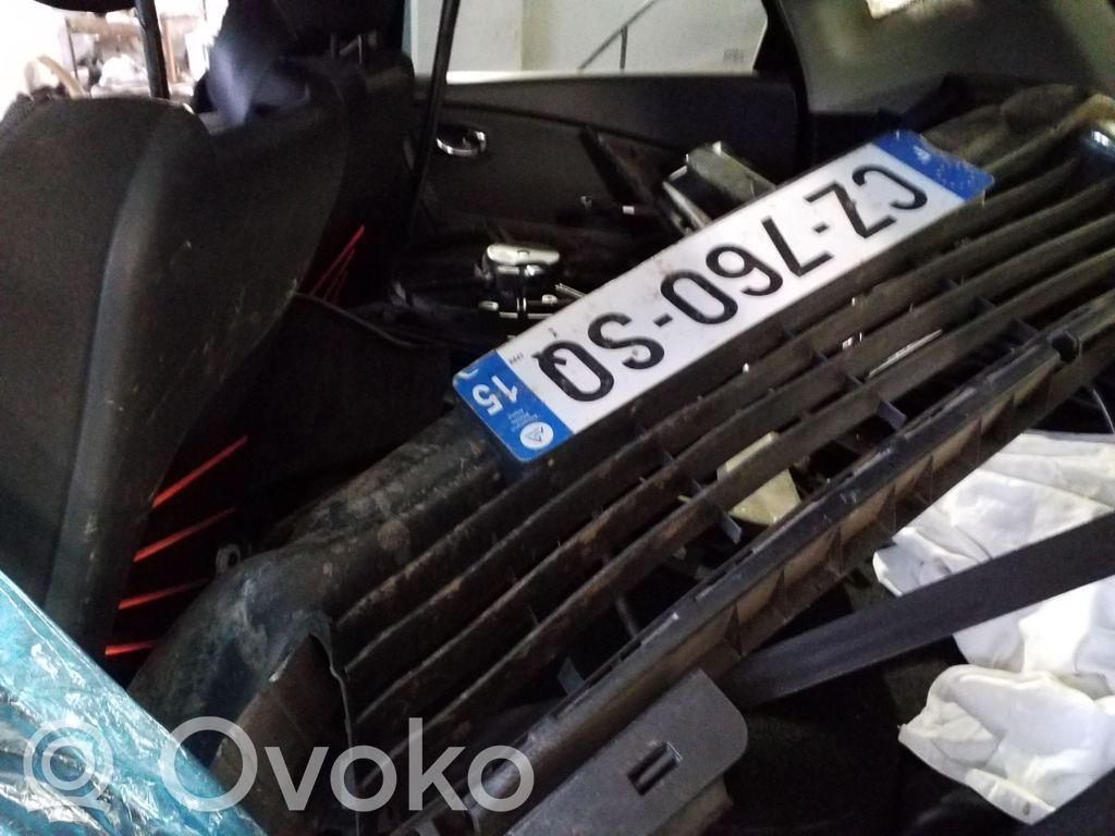 Captur Captur  256109128R