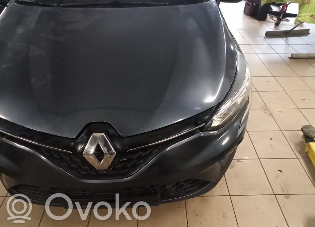 Clio V Clio  226936030R