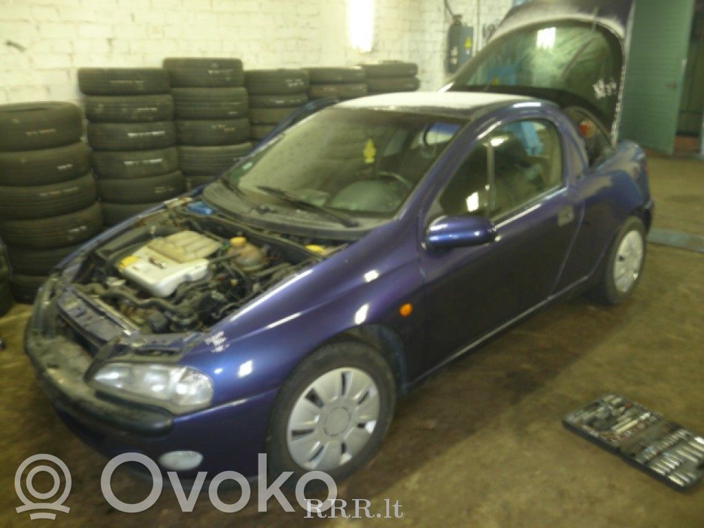 Tigra A Tigra  09114886