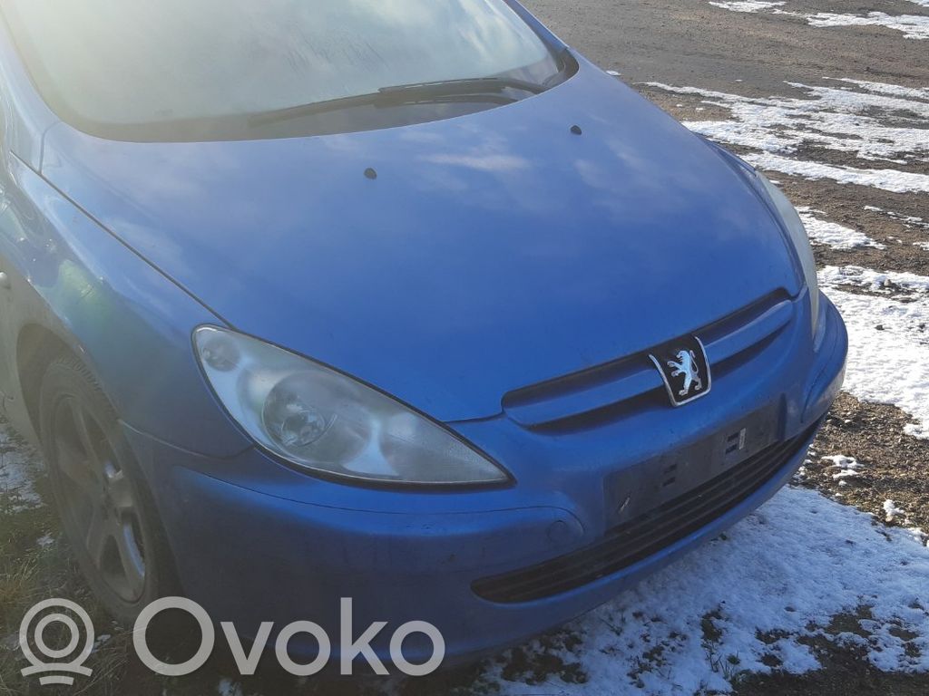 307 307  9637131380