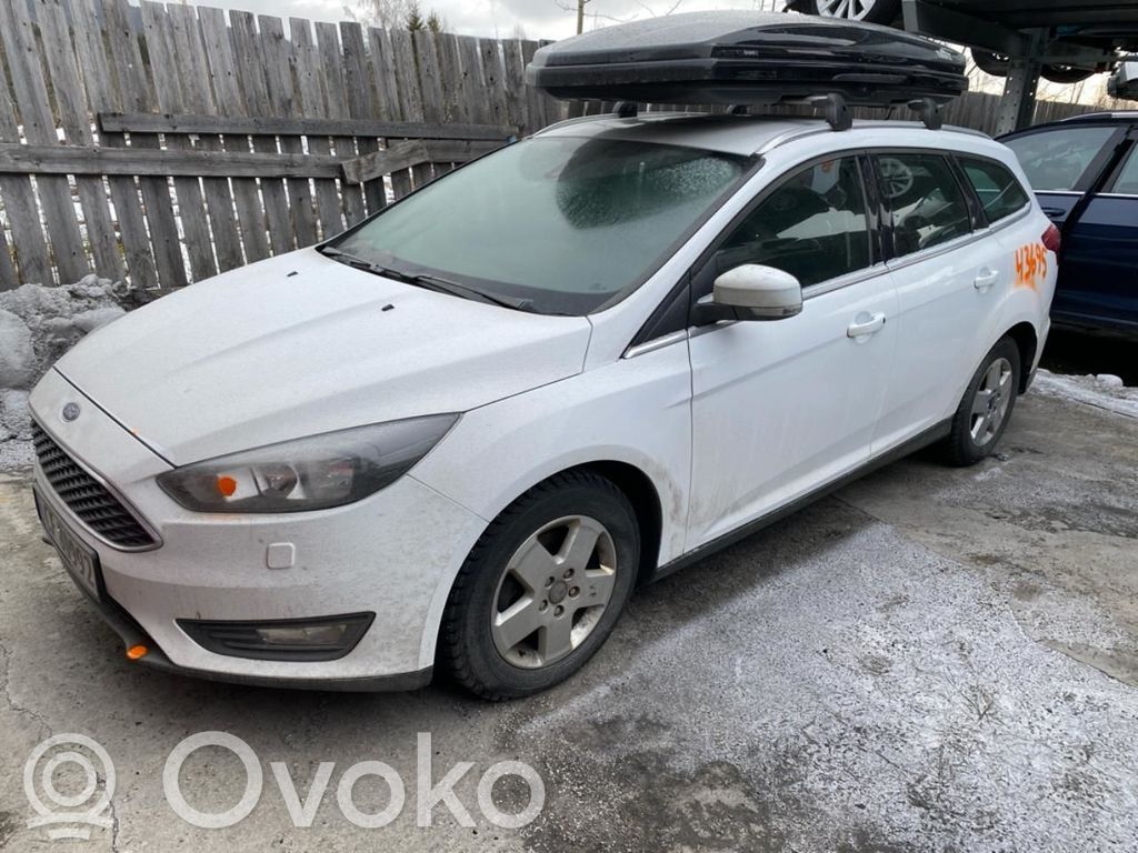 Focus Focus  1868299