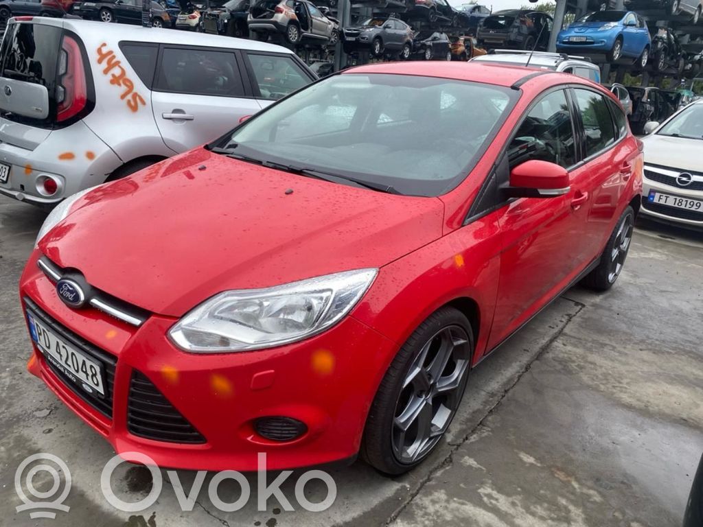 Focus Focus  1797477