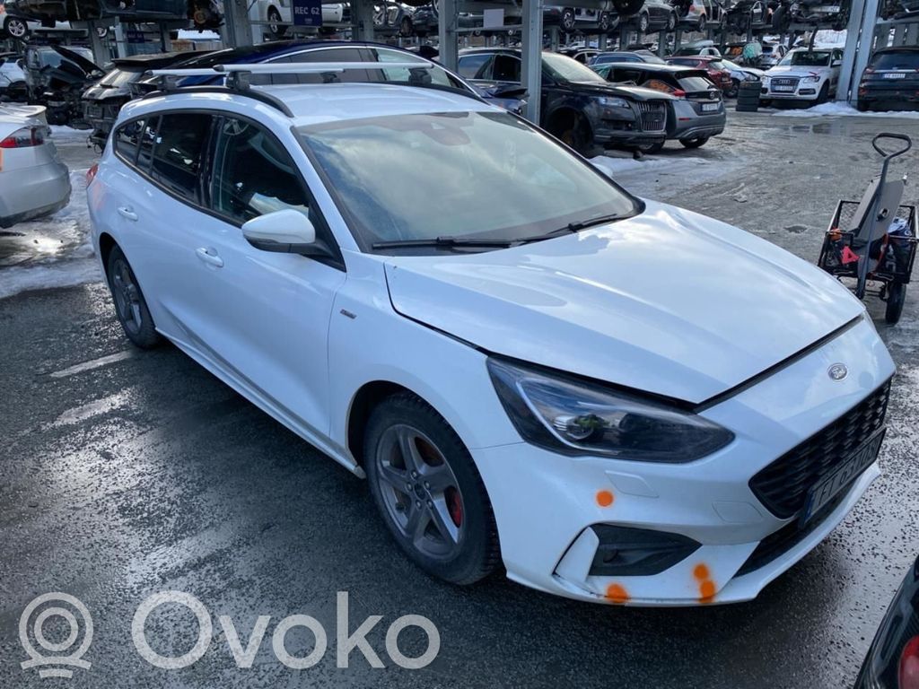 Focus Focus  2213560