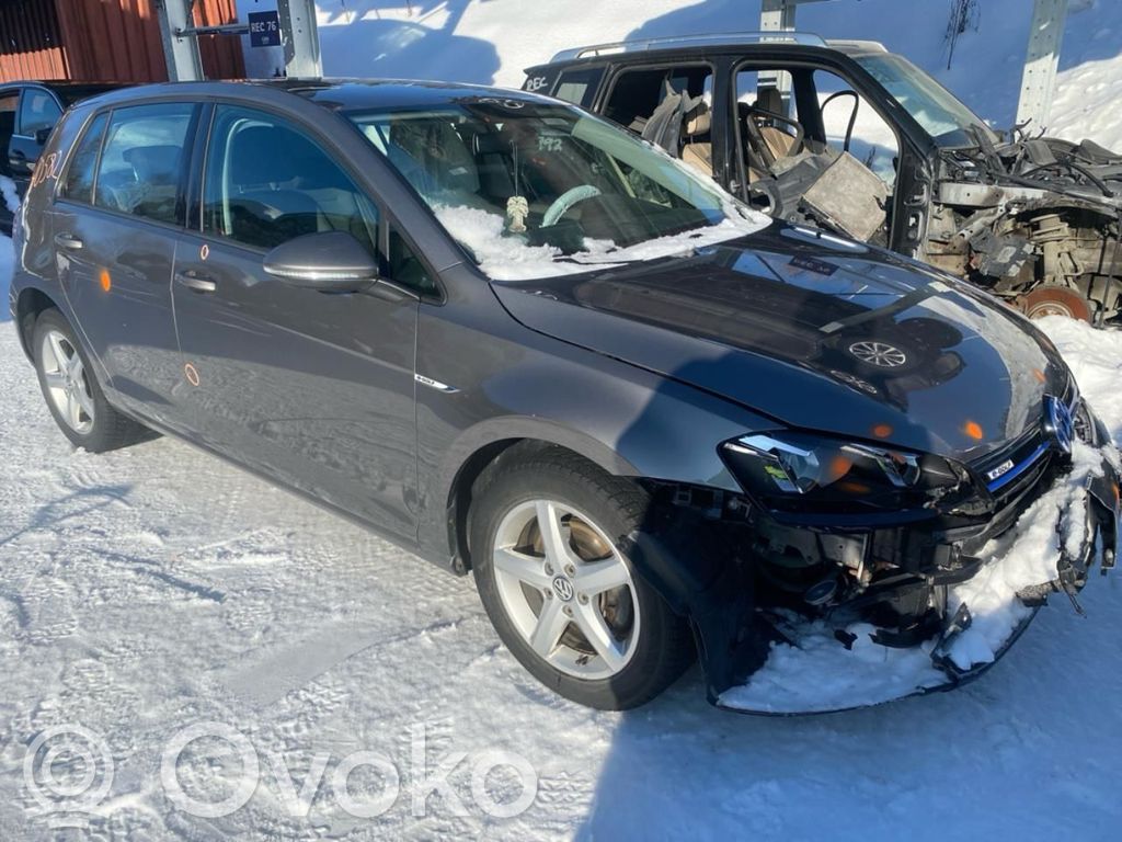 e-Golf Golf  5Q0907561F