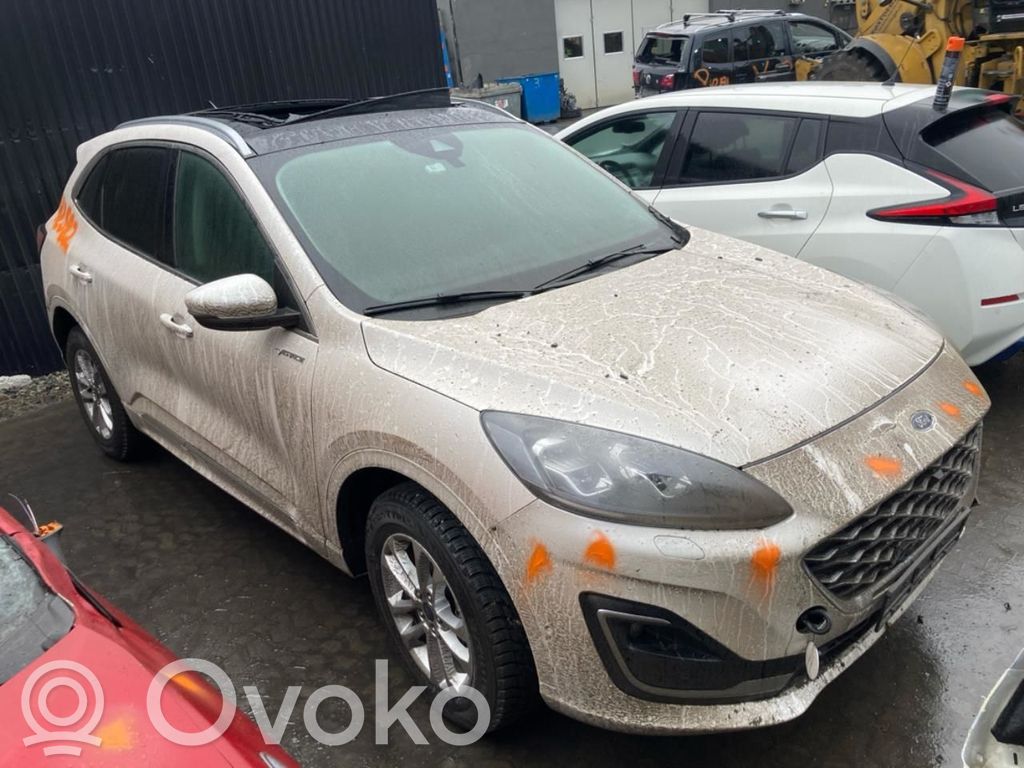 Kuga III Kuga  BGDA